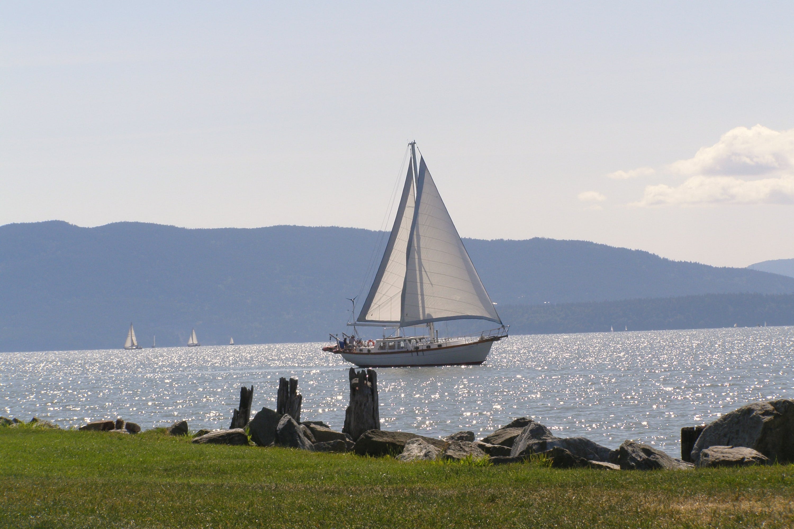 A sailboat on sparkling Bellingham Bay, seen from the lawn at Boulevard Park