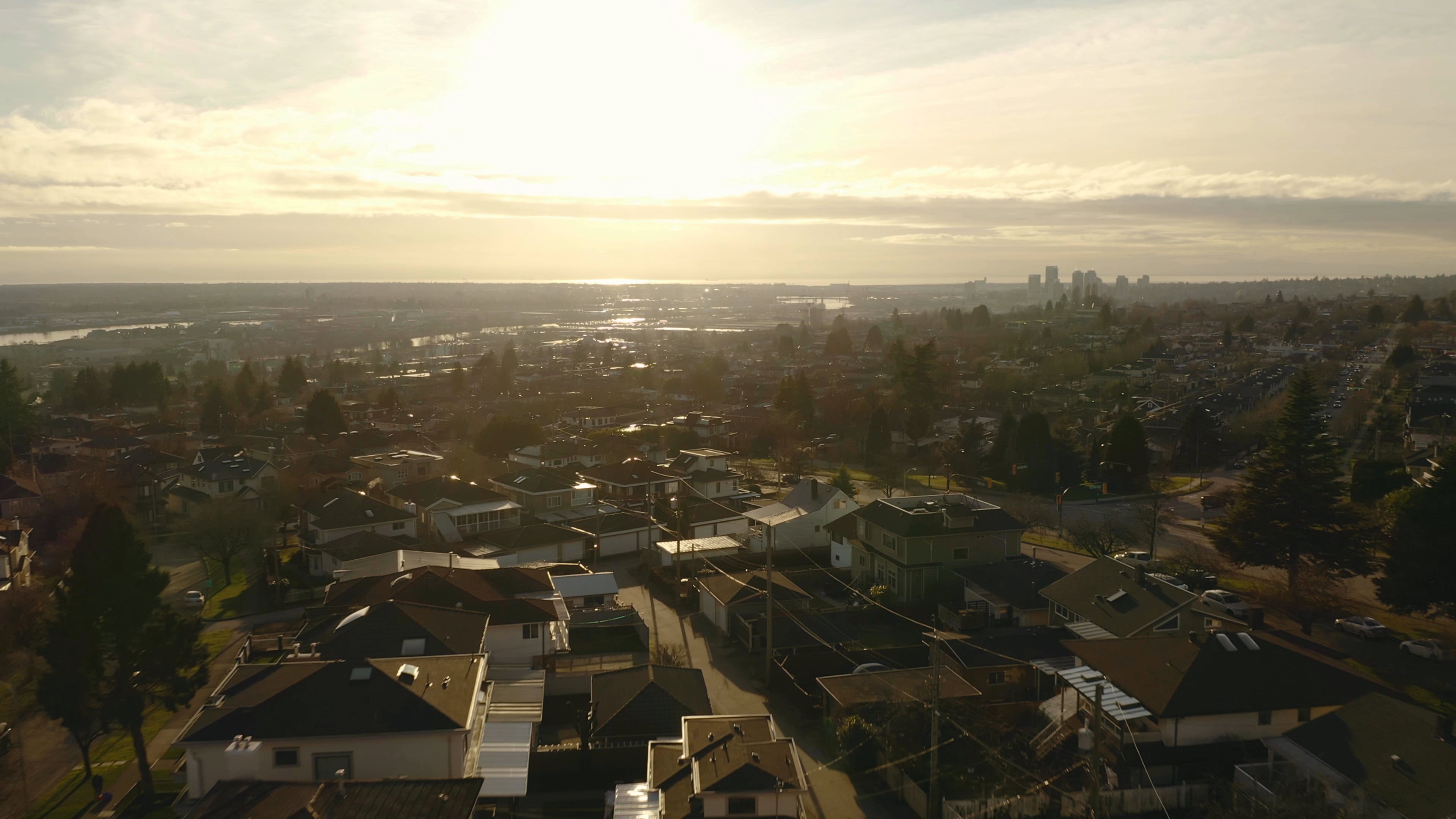 Aerial view over the rooftops of a leafy residential neighborhood in warm, low sunlight, with evergreens, a river and distant water on the horizon
